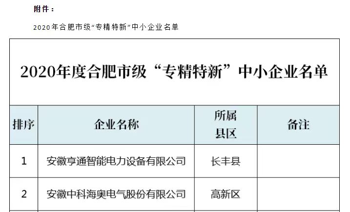 重大喜讯：雷竞技RAYBET·（中国）官方网站荣获2020年度合肥市“专精特新”企业称号