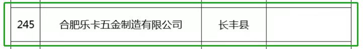 重大喜讯：雷竞技RAYBET·（中国）官方网站荣获2020年度合肥市“专精特新”企业称号